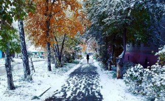 Кузбасские коммунальщики победили траву под первым снегом (1 фото + 6 видео)