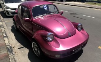 Volkswagen Beetle    (30)