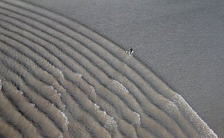 Аляска: на гребне волны (22 фото)