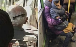Люди из троллейбусов: смешные и странные персонажи из общественного транспорта (36 фото)