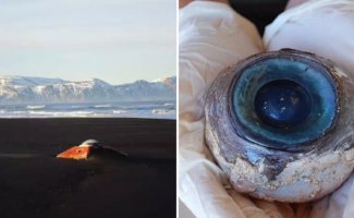 10 действительно странных вещей, которые нашли на берегу (11 фото)