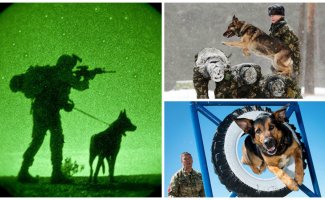 Служебные собаки: четвероногие храбрецы (26 фото)