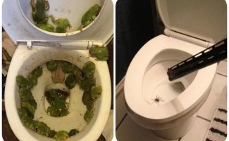 13 неожиданных находок в туалете, от которых реально не по себе (14 фото)